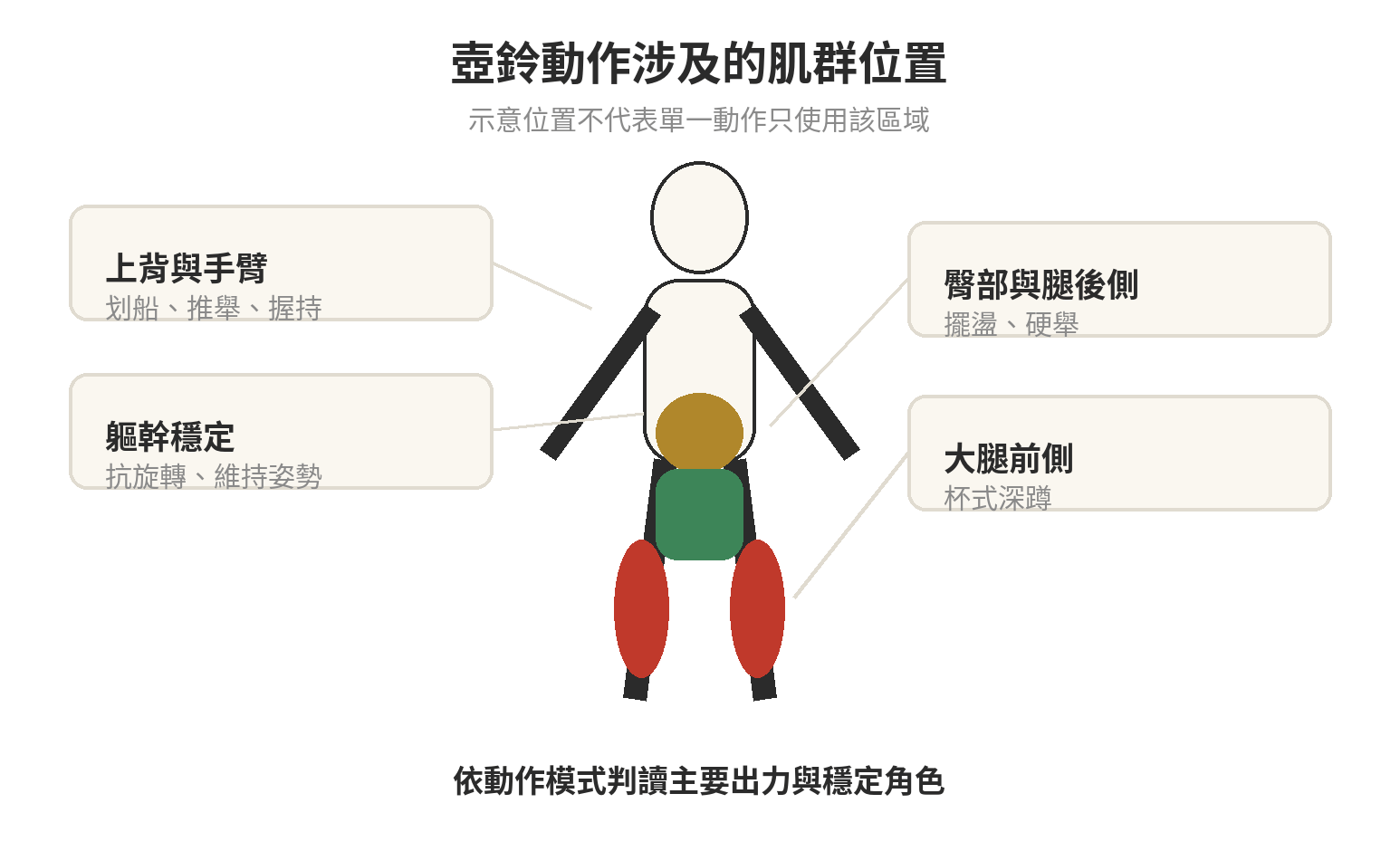 壺鈴運動能練到哪些部位:核心與全身訓練解析 壺鈴動作涉及的肌群位置示意:臀腿後側、股四頭肌、軀幹、上背、肩臂與握力