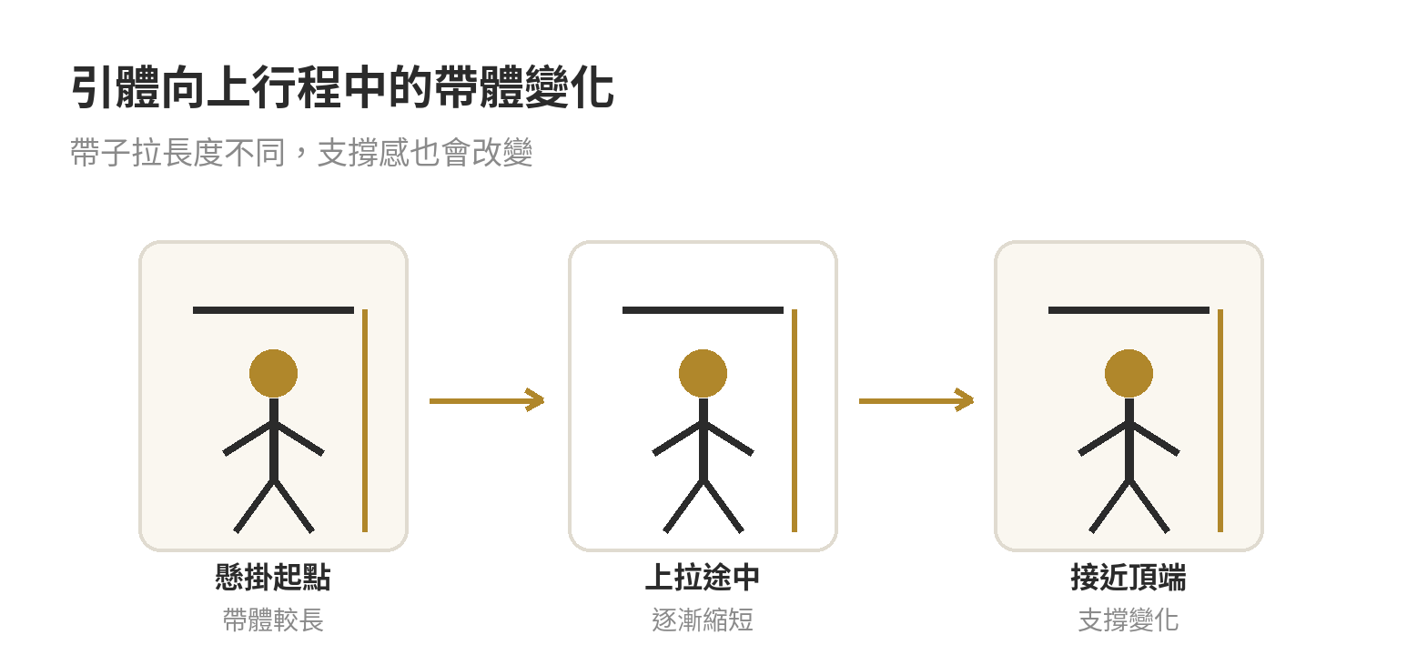 引體向上動作行程中，彈力帶伸長與縮短會改變支撐力；示意圖未依比例標示