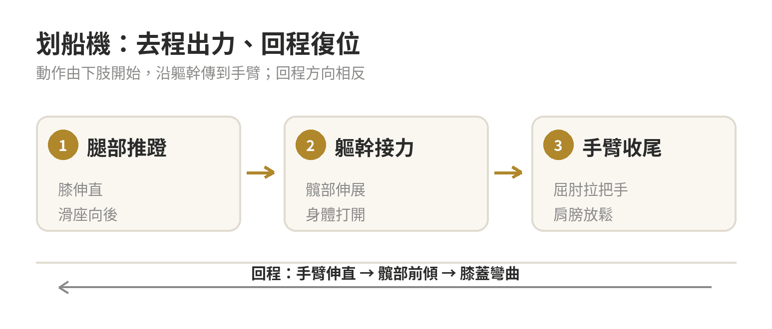 划船機動作順序示意：推蹬時腿、軀幹、手臂依序接力，回程時手臂、軀幹、腿依序復位